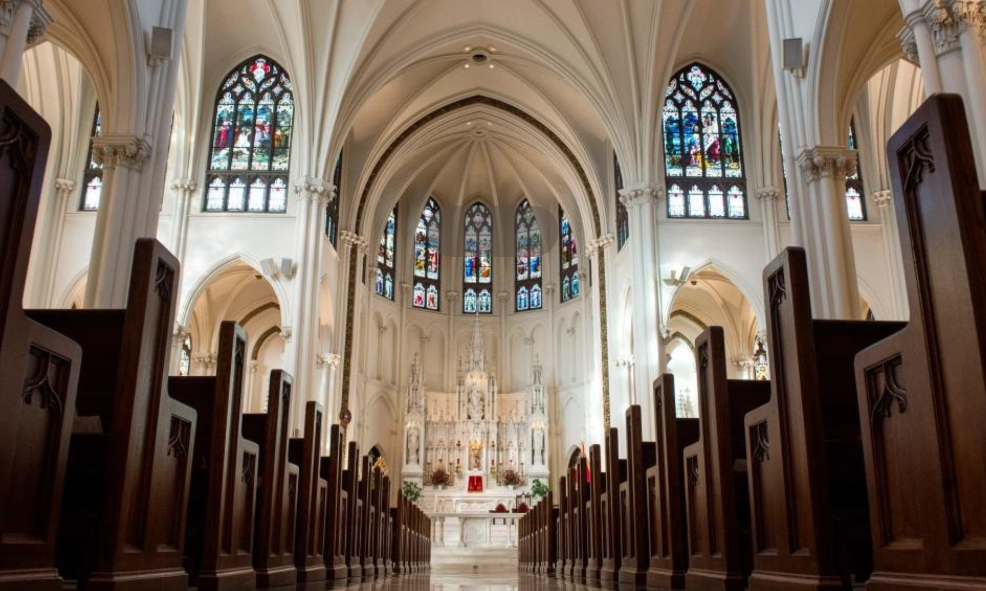 Gaudium Verum - Sacred Music for the Liturgy